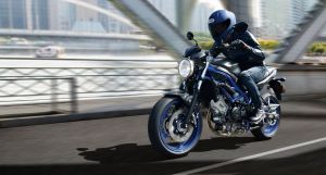 Motorradbilanz 2022: Kräftiger Zuwachs für Suzuki in Deutschland