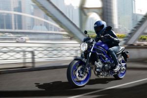 Suzuki SV650 erscheint in neuen Farben